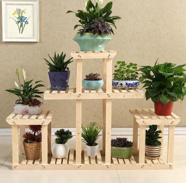 常見的室內空氣淨化植物有哪些